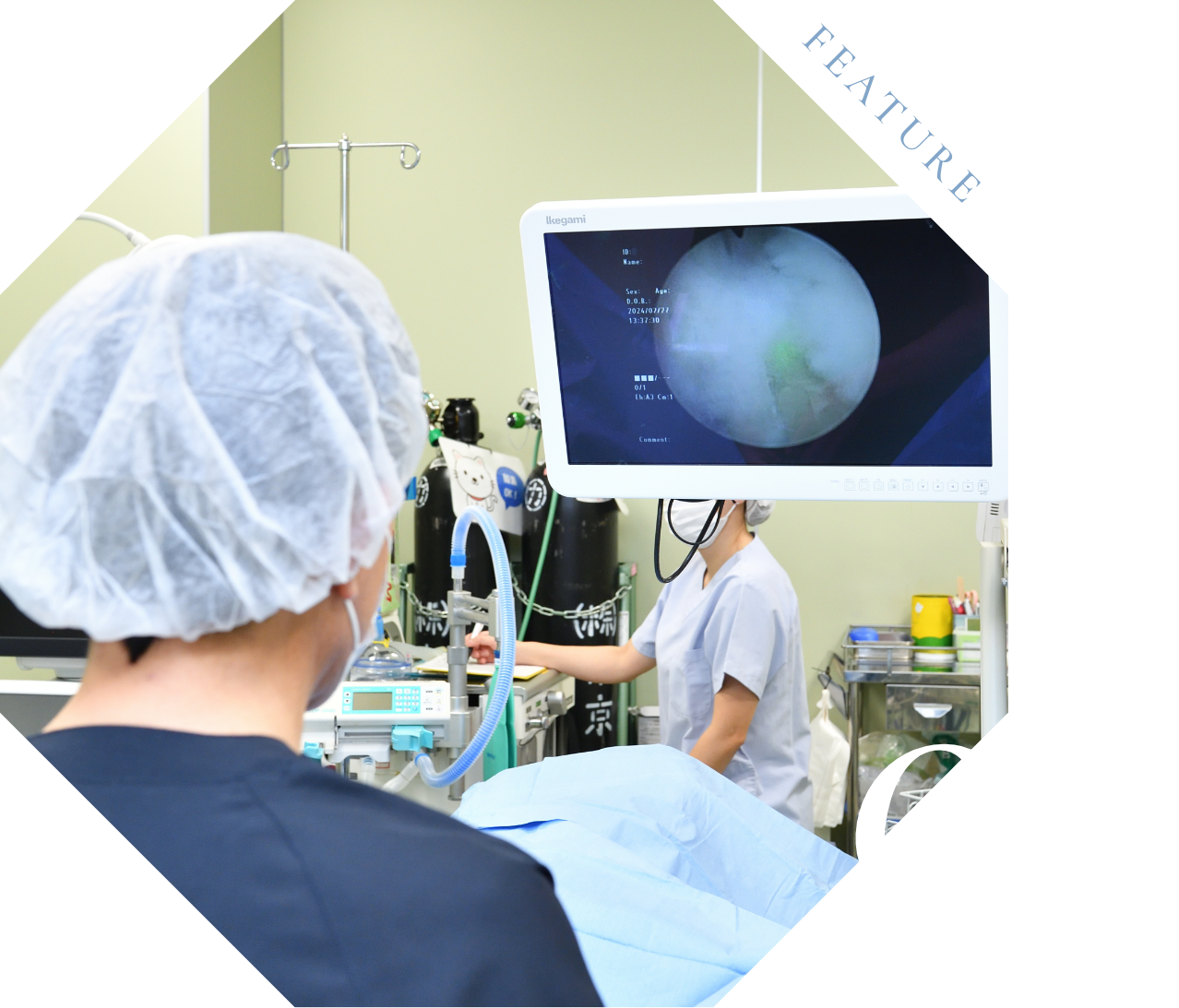 前立腺組織の病理診断ができ、癌の診断・対処もしやすい