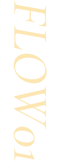 FLOW01