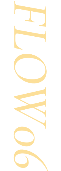 FLOW06