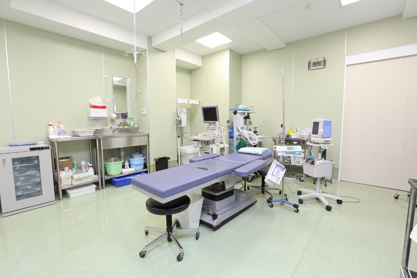 HoLEPのスケジュール